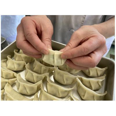 ふるさと納税 喜多方市 喜多方ラーメン来夢　自家製冷凍餃子　20個入り |  | 01