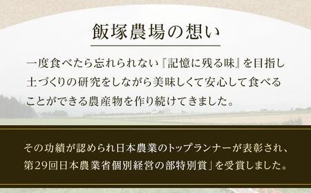 【夏季限定】飯塚農場産の八色原すいか　大玉2玉（赤1玉・黄1玉）セット【2026年7月下旬より順次発送予定】