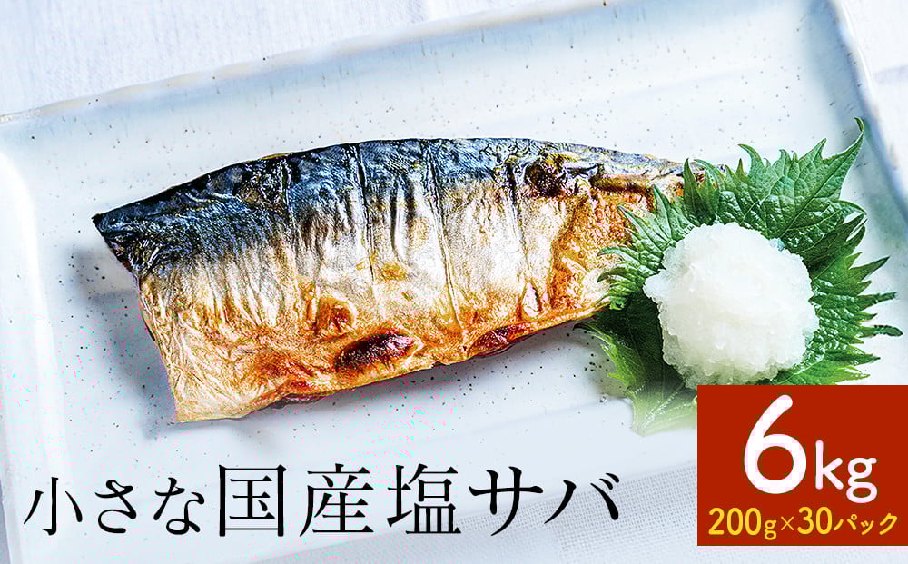 
            小さな国産塩サバ6kg
          