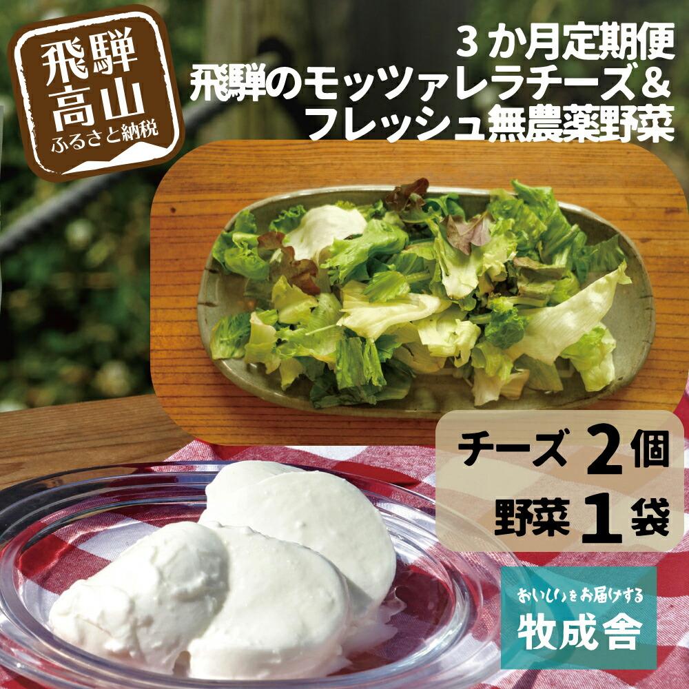 【ふるさと納税】【3ヶ月 定期便】飛騨の新鮮モッツァレラ＆フレッシュ野菜 セット 3回お届け モッツァレラチーズ 野菜 チーズ ミックスリーフ 無農薬野菜 無農薬 牧成舎 飛騨高山 DF100 お楽しみ