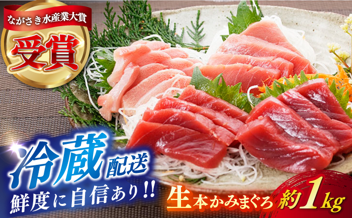 
                  【ながさき水産業大賞受賞の新鮮なマグロを冷蔵でお届け！！】五島列島産 養殖 生本かみマグロ 赤身 中トロ 大トロ 計約1kg 【カミティバリュー】 [RBP088]
                