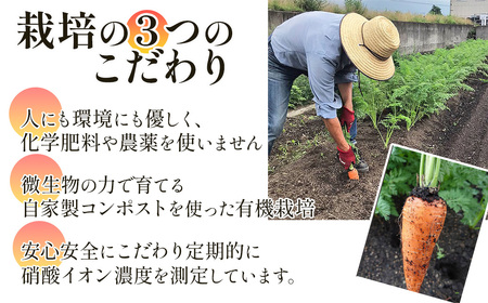 人参ジュース「ザ・人参」150gパウチ×10個セット｜ 人参ジュース にんじんジュース 人参ジュース 無農薬人参ジュース