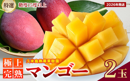 マンゴー【2026年発送】久米島熱帯果樹園「特選」極上完熟マンゴー2玉（450g以上×2玉）糖度15度以上 アーウィン
