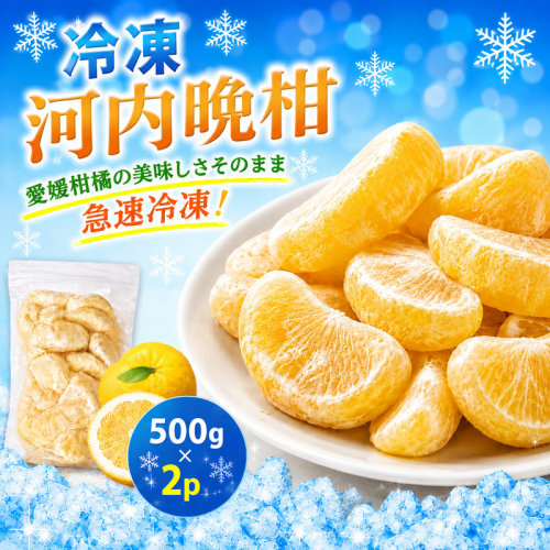 冷凍 河内晩柑 500g×2袋 小分け 愛南ゴールド 和製グレープフルーツ おやつ 柑橘 かんきつ 冷凍 冷凍柑橘 冷凍みかん 夏 アイス スムージー シャーベット みかん職人武田屋 愛媛県 愛南町