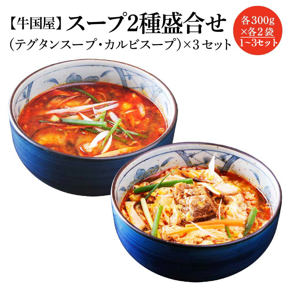 【ふるさと納税】【牛国屋】スープ2種盛合せ（テグタンスープ、カルビスープ） 各300g×2袋 1セット 2セット 3セット | 惣菜 冷凍 ギフト プレゼント 贈り物 埼玉県 さいたま市 ヒロ・ジャパンフードサービス