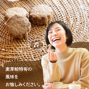 お腹ピカピカ 麦芽粕(モルト)クッキー 1袋5コ入×5袋