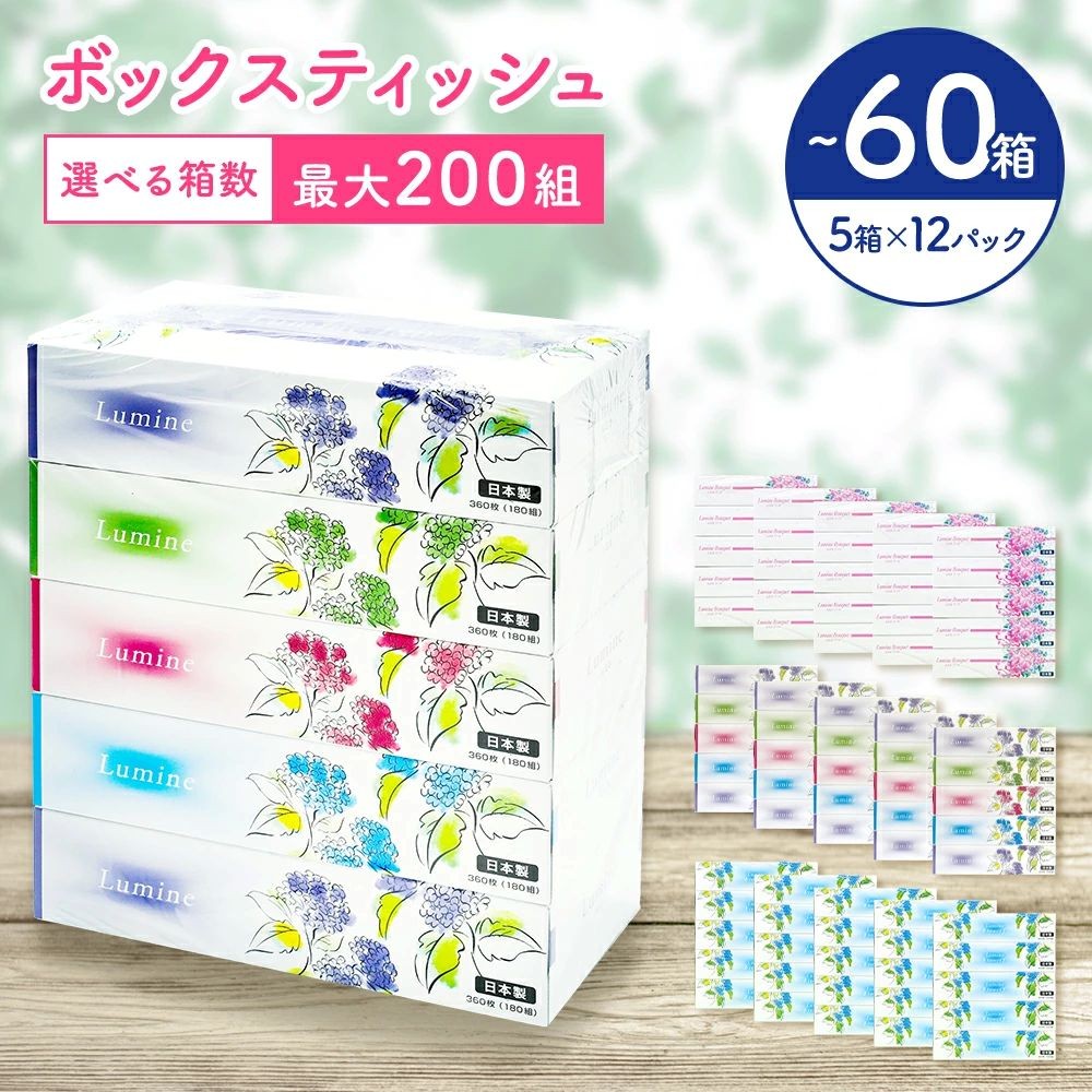 
                  ティッシュペーパー ティッシュ ティシュー ボックス 60箱 5個×12パック ルミネ やわらか 高品質 ティッシュペーパー ティシューペーパー デザインボックス 日用品 備蓄 防災 送料無料 愛媛県 四国中央
                