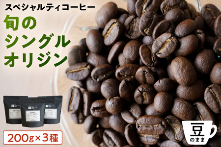 [豆のまま]スペシャルティコーヒー 旬のシングルオリジン 200g×3種 【kt054-004-1】 ｺｰﾋｰ