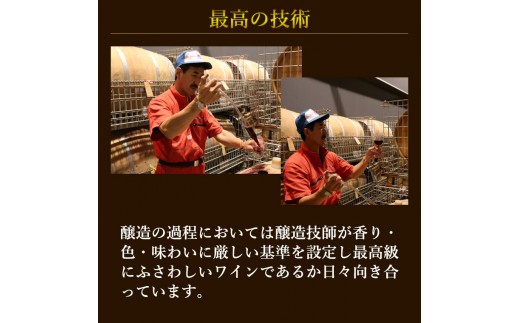 デザートワイン ゼーレオオハサマ リースリング・リオン 冷凍果汁仕込 375ml×1本 白 【箔押しギフトBOX入り】 エーデルワイン 【2142】