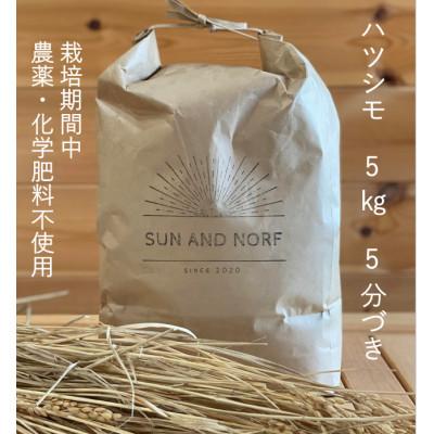 ふるさと納税 養老町 【令和7年産】初霜(源種)5分づき5kg　(栽培期間中農薬・化学肥料不使用)