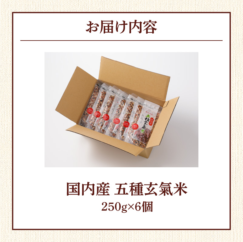 国内産 五種玄氣米 250g×6個 計1500g_国内産 五種玄氣米 250g×6個 お届け回数 1回 玄米 ブレンド 雑穀米 もち赤米 うるち玄米 もち玄米 もち黒米 もち緑米 プチプチ もちもち 