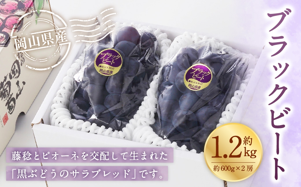 
                  岡山県産 ブラックビート 約1.2kg （ 約600g×2房 ） ぶどう ブドウ 葡萄 くだもの 果物 果実 フルーツ 国産 黒ぶどう 【 2026年8月上旬～9月上旬発送予定 】
                