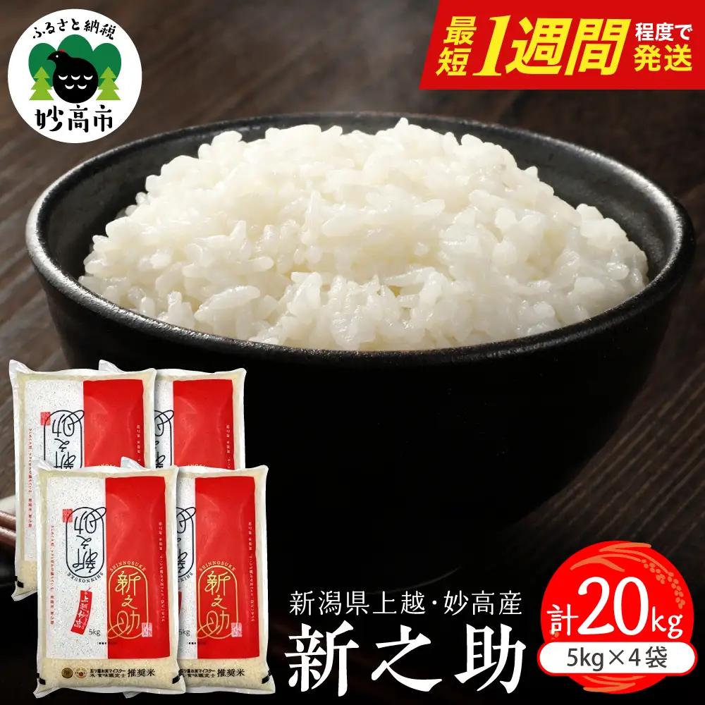 【最短1週間程度発送】 新潟県上越妙高産 新之助 20kg