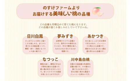 【訳あり（小玉）】桃 3kg （8～10玉） もも モモ ピーチ 果物 フルーツ 山梨県産 国産 【2026年6月下旬～8月下旬発送予定】