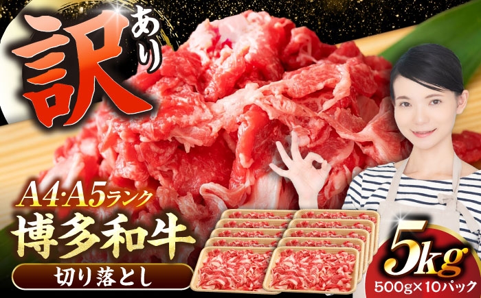 
                  【訳あり】【A4～A5ランク】 博多和牛 切り落とし　5kg（500g×10個）《豊前市》【株式会社木村食品】 黒毛和牛 牛肉 和牛 切落し 国産 [VDZ156]
                