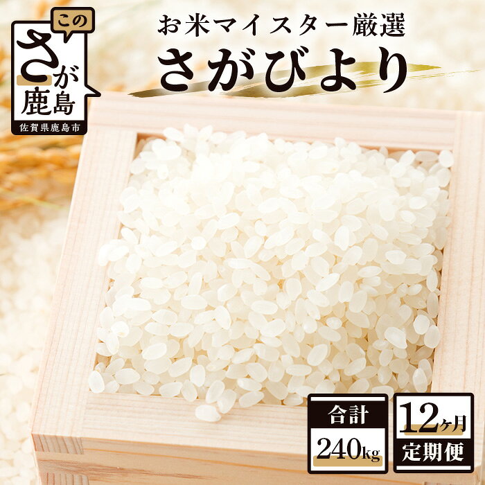 【ふるさと納税】【12ヶ月定期便】鹿島市産 さがびより 白米20kg (10kg×2袋) ×12回 《合計240kg》 定期便 12回発送 12か月 お米 九州 米 精米 国産 九州産 佐賀県 鹿島市 送料無料 V-11