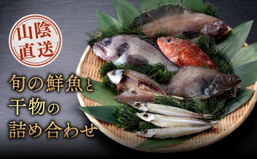 山陰直送 旬の鮮魚と干物の詰め合わせ　※北海道、沖縄、一部離島への配送不可