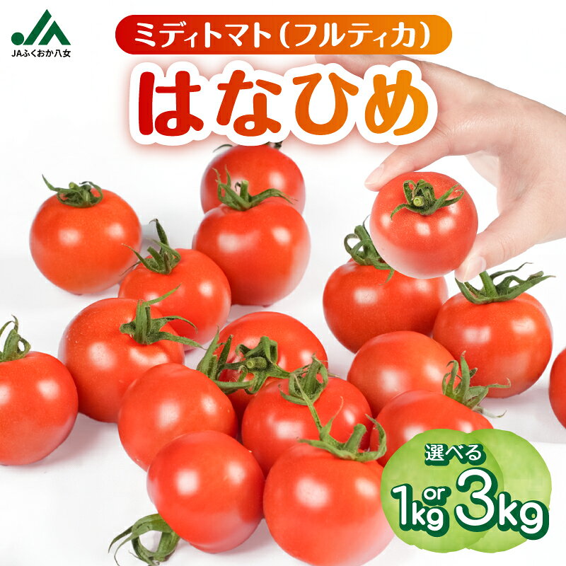 【ふるさと納税】【選べる内容量】【先行予約】ミディトマト はなひめ 1kg・3kg【JAふくおか八女】【2026年12月発送開始】 フルティカ JAふくおか八女 皮やわらかい とまと 食べやすいトマト 高満足度 リコピン ヘルシー 人気 ブランドトマト 野菜 福岡県 八女市