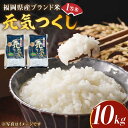 【ふるさと納税】【令和5年産】福岡県産ブランド米「元気つくし」白米 10kg (5kg×2袋)《築上町》【株式会社ゼロプラス】20000円 2万円 [ABDD003]