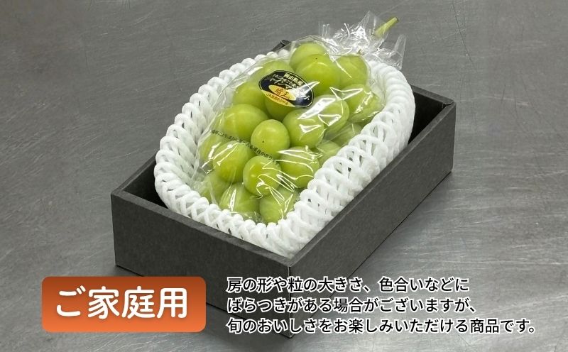 岡山県産 ご家庭用 シャインマスカット晴王 400g×1房 | フルーツ 果物 くだもの ぶどう ブドウ シャインマスカット 晴王 国産 岡山県産 食品 人気 おすすめ ご家庭用 自宅用 果物 くだもの フルーツ ぶどう ブドウ マルトウ促成青果【mrts008-01】