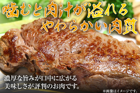 博多和牛ヒレステーキ 450g（150g×3枚） 黒毛和牛 お取り寄せグルメ お取り寄せ 福岡 お土産 九州 福岡土産 取り寄せ グルメ 福岡県