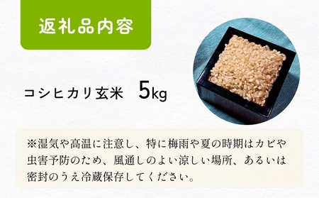 【交響するお米】［玄米］自然栽培 コシヒカリ 5kg（富山県 氷見市 / 令和7年産） |   移住農家が里山から直送 米 こしひかり