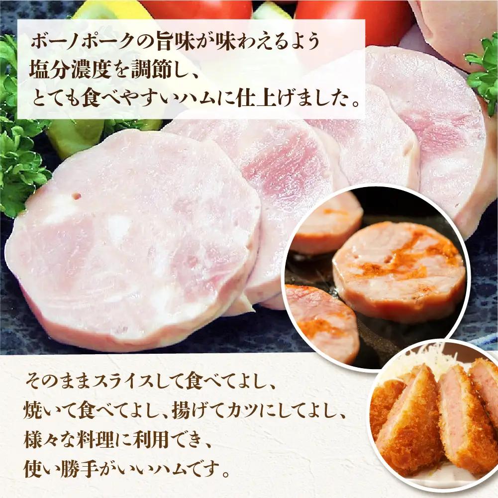 【飛騨 味職人】ボーノポークプレスハム＆ベーコン＆焼豚セット（プレスハム 約390g×1本、ベーコン 約250g×1個、焼豚 約250g×1個）【57-15】