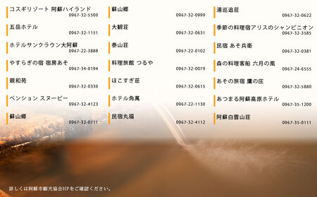 【30,000円分】阿蘇市観光協会加盟施設で使用できる宿泊補助券【旅行】