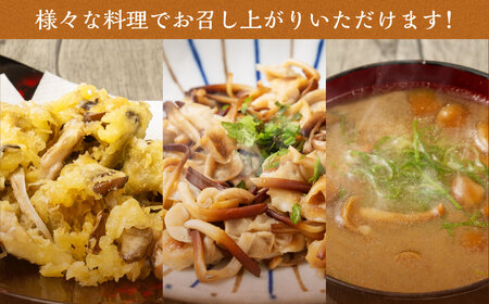 【B05201】きのこ詰合せ（6種類）セット