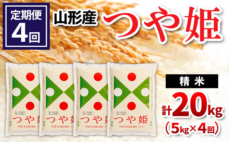 
            【定期便4回】山形県産 つや姫 精米 5kg×4回(計20kg) FZ24-532
          