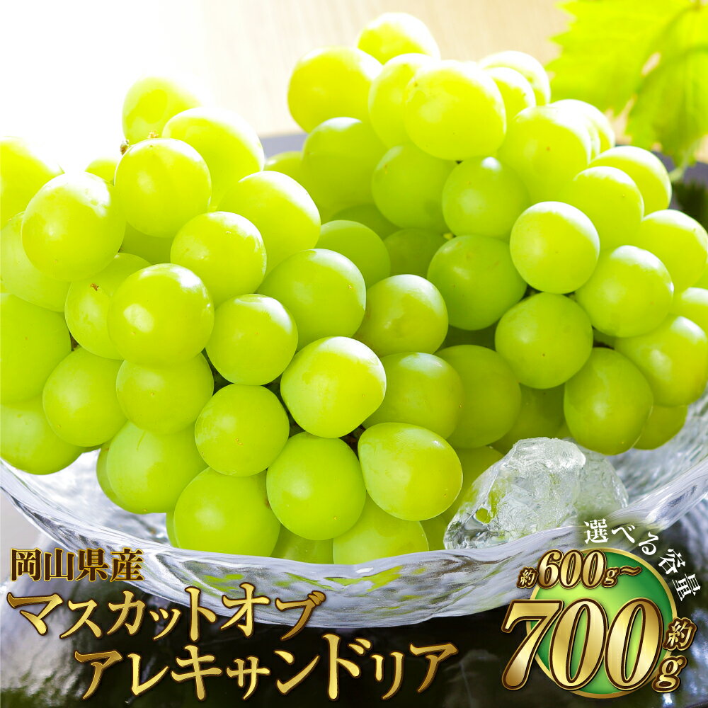 【ふるさと納税】【選べる容量】岡山県産 マスカット・オブ・アレキサンドリア 約600g または 約700g 果物 フルーツ くだもの ぶどう ブドウ 葡萄 マスカット 冷蔵 国産 おかやま 岡山県 奈義町 送料無料 【2025年6月下旬～7月下旬発送予定】