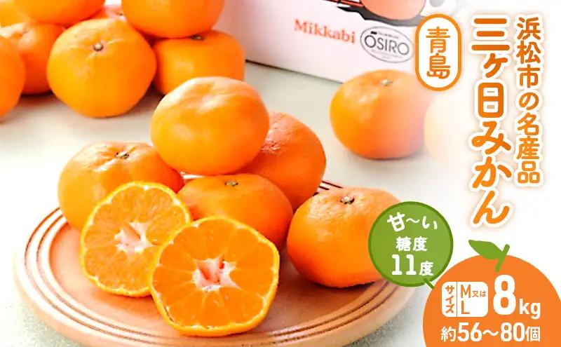 三ヶ日みかん 糖度11度 青島 8kg M/L 蜜柑 ミカン 果物 くだもの フルーツ 浜松