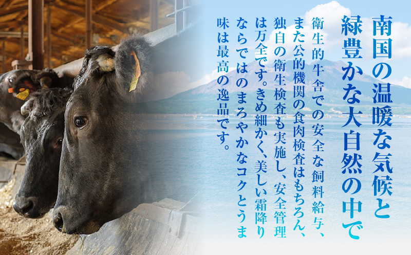 （D-3501）鹿児島黒牛ウデスライスセット　計900g　K127-009