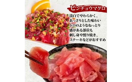 【 訳あり 】 ビンチョウマグロ 切り落とし 1kg（ 100g 10パック ） キハダ マグロ サイズ 不揃い TY067