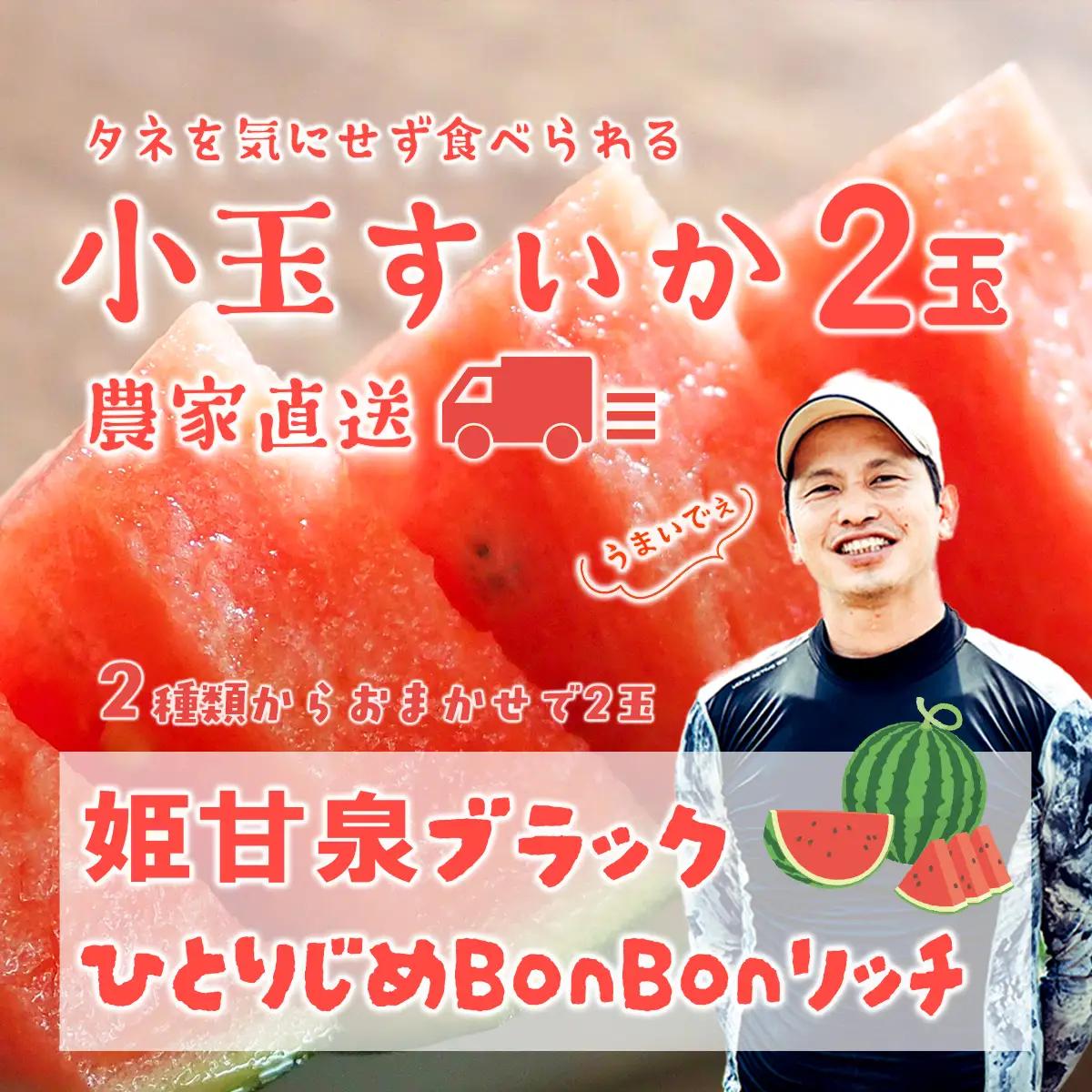 スイカ 黒皮 小玉スイカ 姫甘泉ブラック ひとりじめBonBonリッチ 1箱 2玉