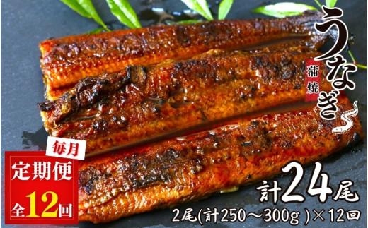 【12カ月定期便】うなぎ蒲焼き2本セット×12回 / 和歌山 田辺 うなぎ 鰻 かば焼き うな丼 うな重 国産 鰻丼【kpy017-tk】