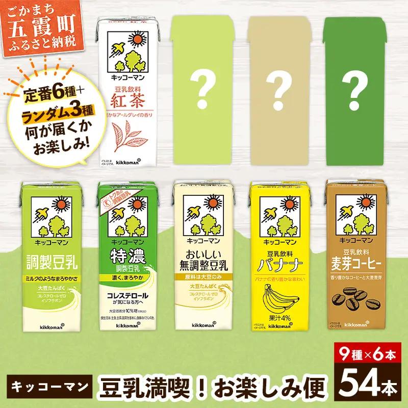 豆乳 キッコーマン 豆乳満喫！ お楽しみ便 200ml×54本 9種 各6本 計54本 詰め合わせ N