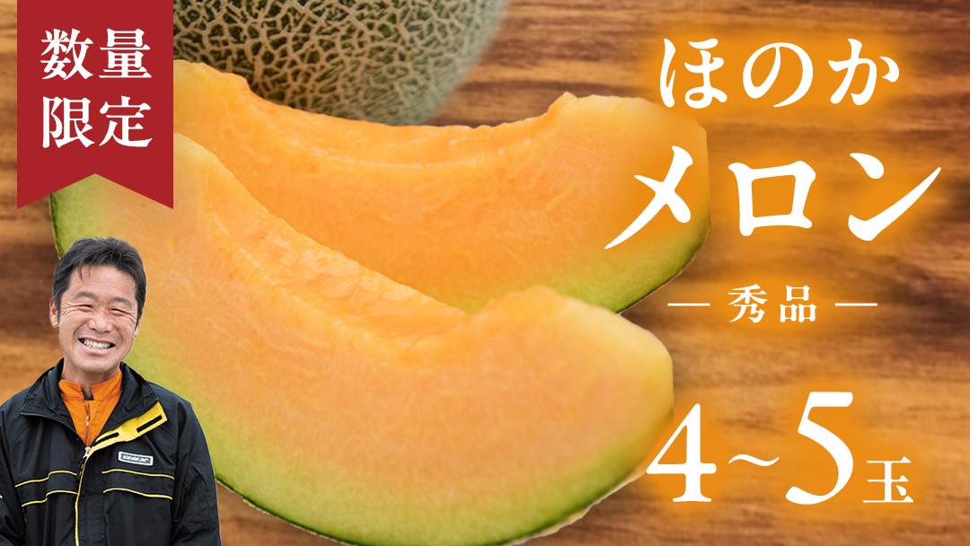 【先行予約 2026年5月下旬発送】 ほのかメロン 秀品（ 赤肉 ） 4玉 ～ 5玉 (2L～3L) メロン 果物 フルーツ 甘い 茨城県 茨城県産 期間限定 数量限定 産地直送 農家直送 [AV001ya]