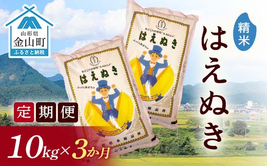 令和7年産《定期便》 金山産米 はえぬき 【精米】（5kg×2袋）×3ヶ月  計30kg 定期便 米 お米 白米 ご飯 ブランド米 送料無料 東北 山形 金山町  F4B-0683