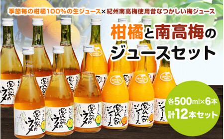 紀州産ミカンジュースと南高梅のジュースセット 季節毎の柑橘ジュース500ml×６本・梅ジュース500ml×６本 / 和歌山 和歌山県産 田辺市 紀州南高梅 梅  梅ジュース みかん みかんジュース 1