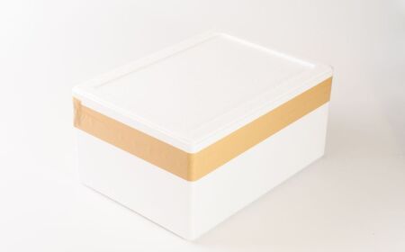 宇部産 白ミル貝 約500g 白ミル貝
