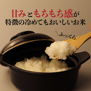 ミルキークイーン 6kg 令和6年産 新発田市産 米 ミルキークイーン 2kg 3袋 人気 ミルキークイーン おすすめ ミルキークイーン  D10_01