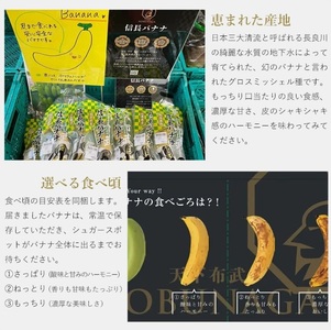 1041 天下布武信長バナナ　約1kg　サイズお任せ　岐阜県産　糖度25度前後　無農薬　無添加