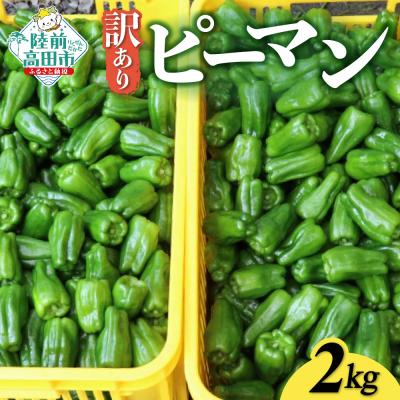 ふるさと納税 陸前高田市 訳あり ピーマン 約2kg 野菜 夏野菜 Farm Koganeyama おためし 料理 規格外