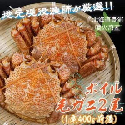 ふるさと納税 豊浦町 【地元現役漁師が厳選!!】ボイル・毛ガニ2尾(1尾400g前後)
