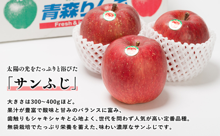 12月 吹田りんご園 山の完熟サンふじ約5kg 【吹田りんご園・青森りんご・平川市広船産・12月】