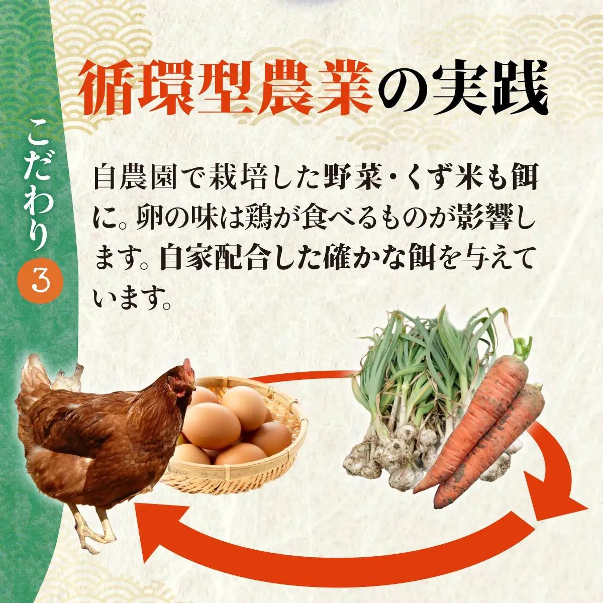 卵 一度食べたらやみつき 厳選卵 30個  3ヶ月定期便
