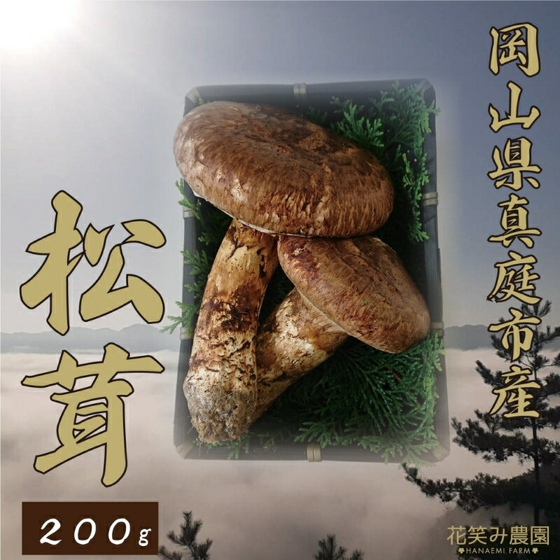【ふるさと納税】 花笑み農園 岡山県産『松茸』 200g(2〜5本) hana11-2【2025年9月下旬～順次発送】【配送不可地域：離島】国産 岡山県 真庭市 希少 産地直送 松茸 天然物 まつたけ マツタケ きのこ キノコ 茸【1438635】