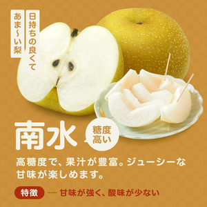 ジューシーで甘い! 長野県産 梨 なし 南水 約3kg 秀品 〈2025年9月中旬～10月中旬発送〉| 果物 くだもの フルーツ 梨 なし 南水 長野県 信州 南信州 飯田市