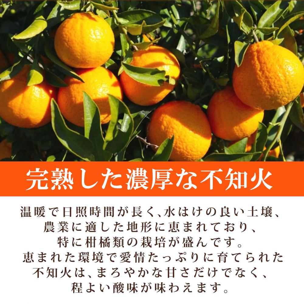 ［ご家庭用訳あり］紀州有田産不知火(しらぬひ) 約6kg［2026年2月中旬以降発送］［先行予約］［UT136］　XF91170_イメージ3
